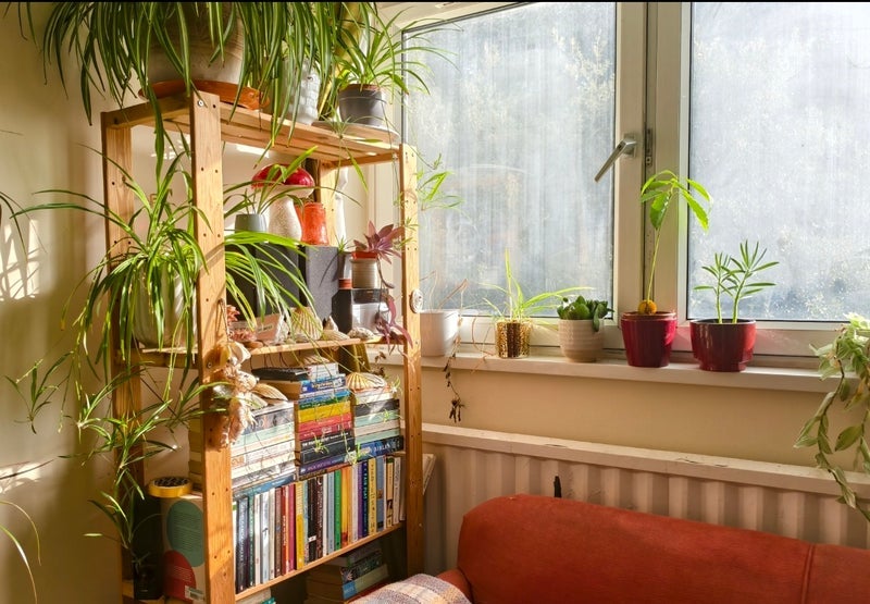 Room Ashley Down Road in Bristol