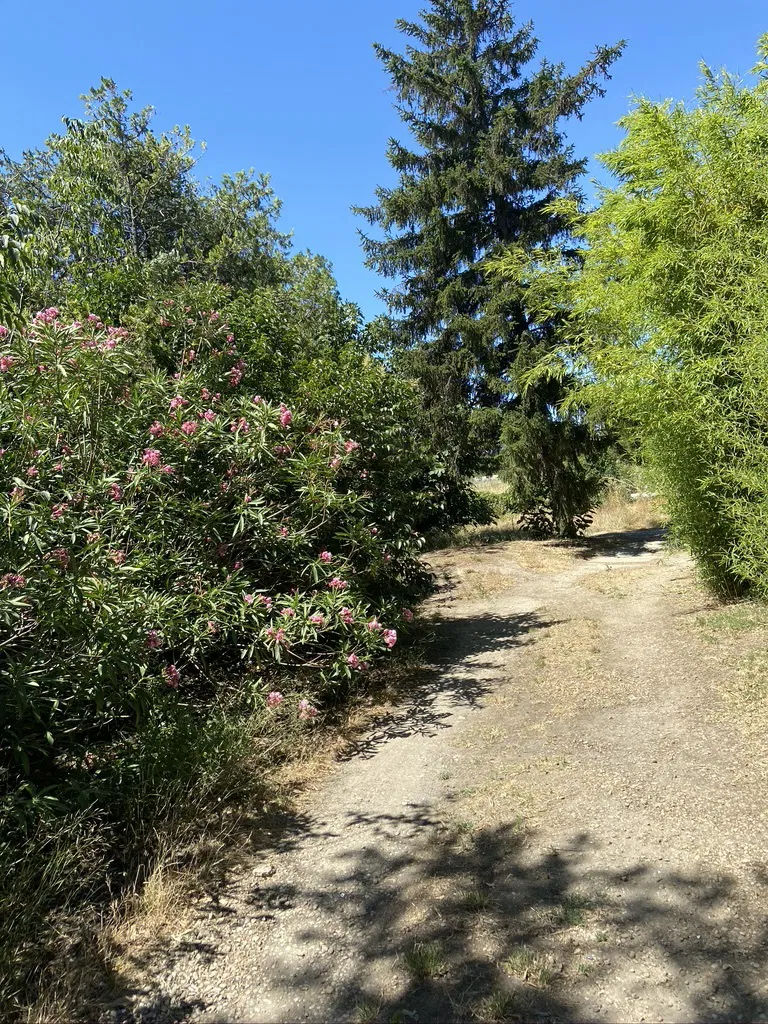 Appartement Chemin du Mas Sagnier à Nîmes