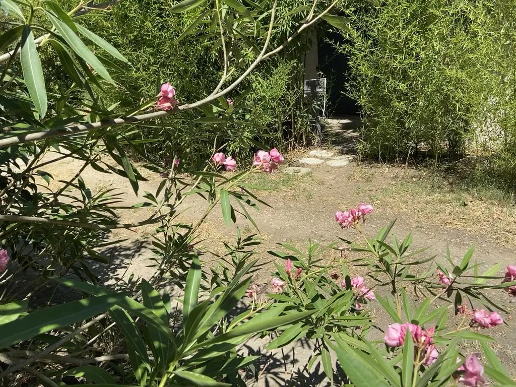 Appartement Chemin du Mas Sagnier à Nîmes