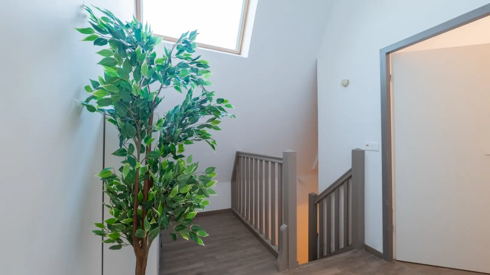 Appartement Rue Achard à Bordeaux