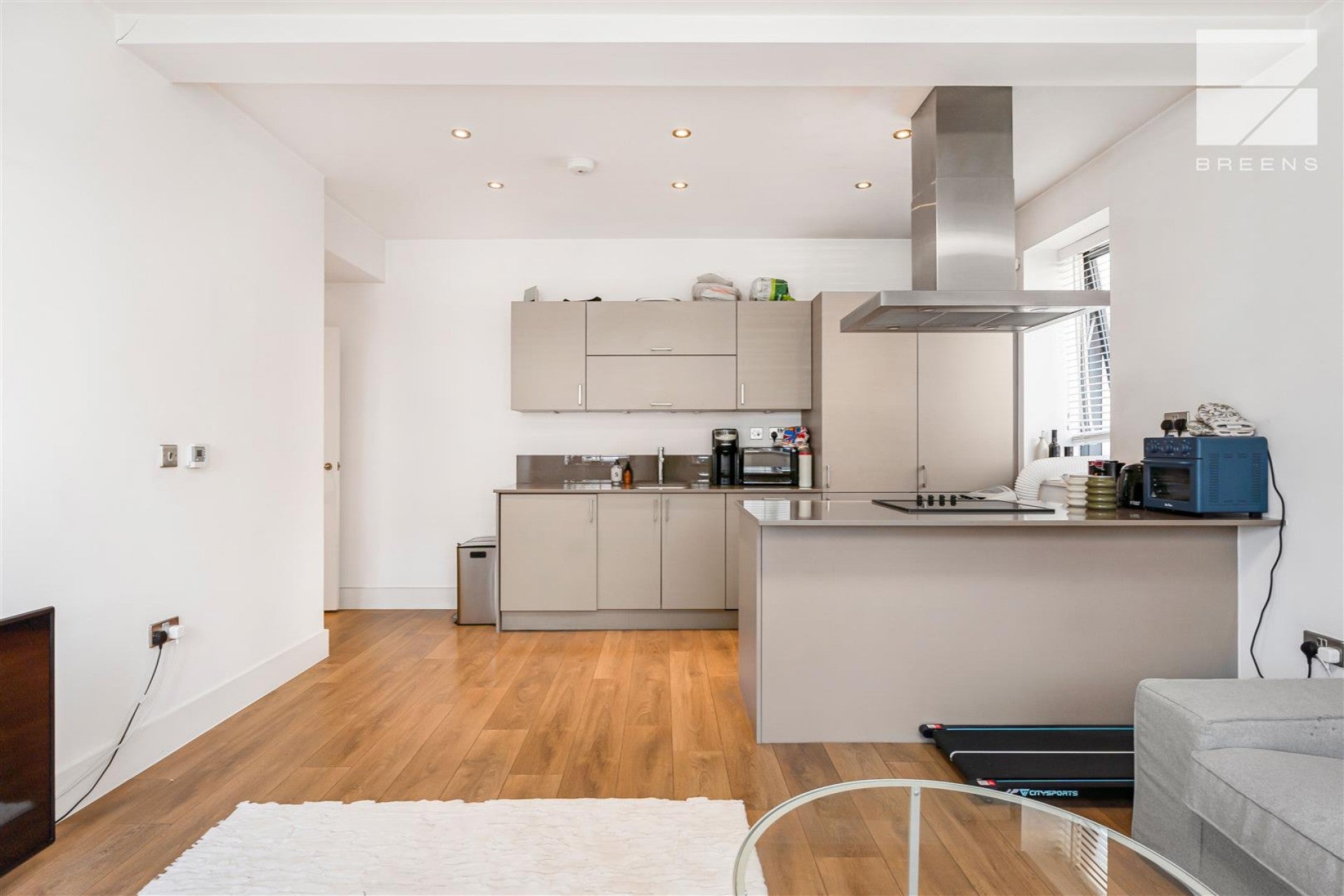 Flat Willow Street in Greater London