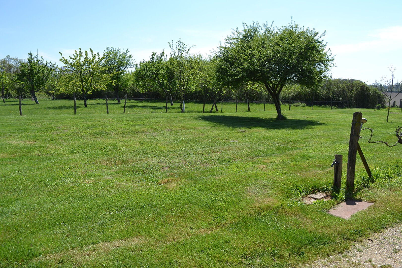 Maison Route de Coussay-les-Bois à Oyré
