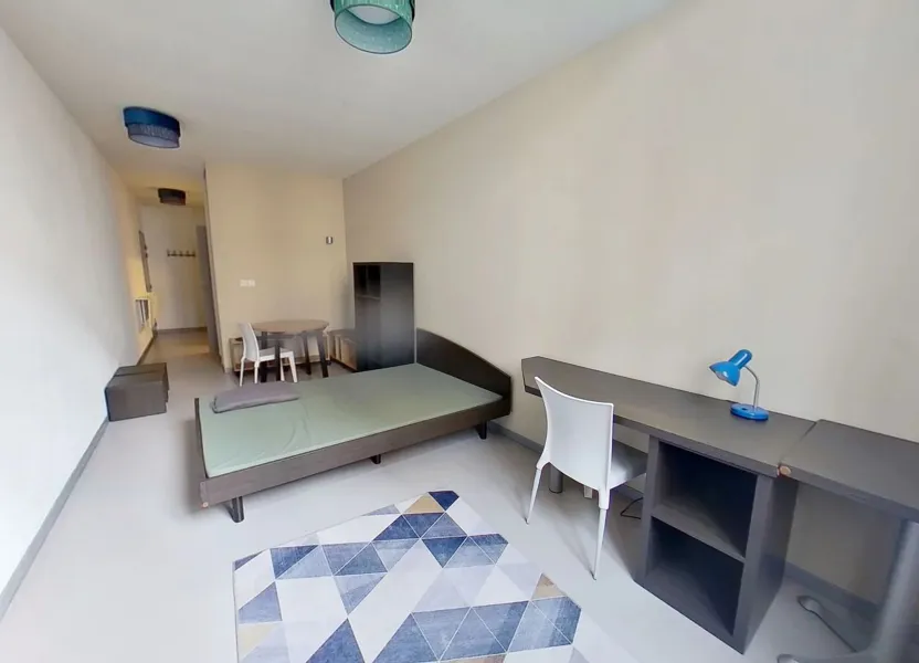Appartement Rue de Genève à Lyon