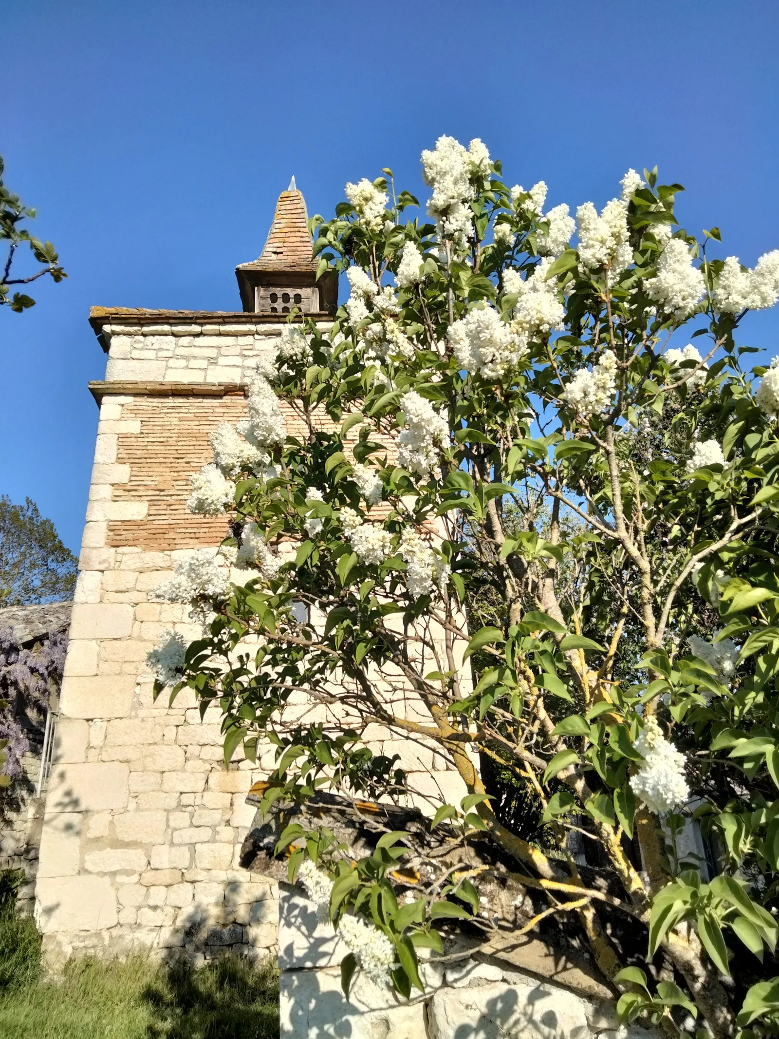 Chambre Traverse de Caminel à Belfort-du-Quercy