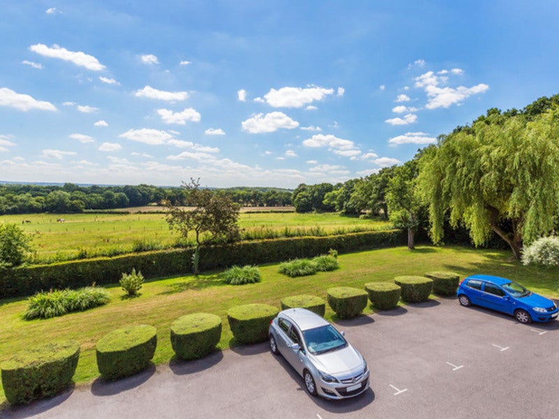 Flat Russ Hill in Mole Valley