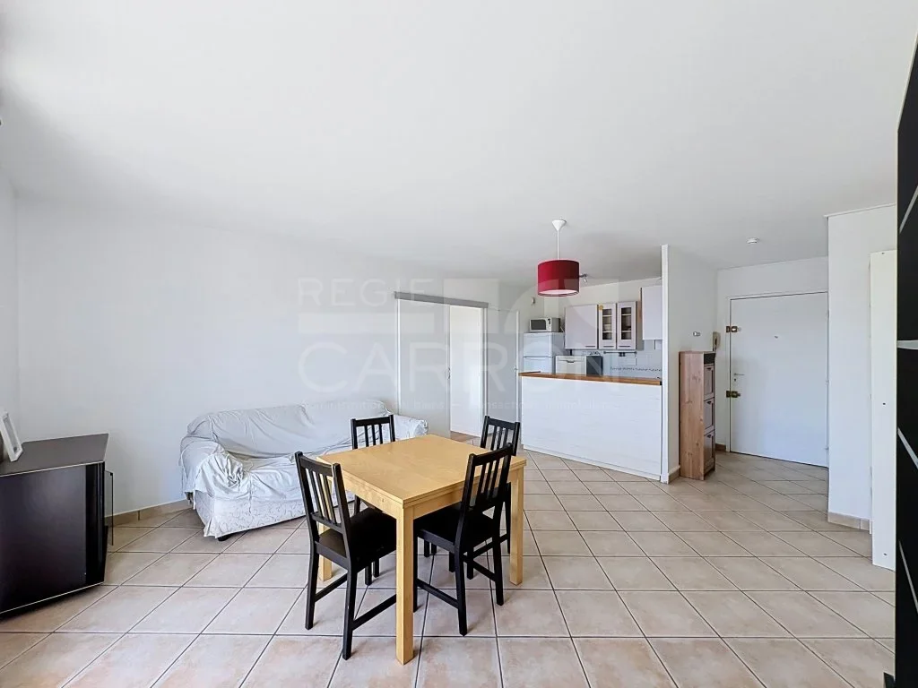 Flat Rue du Professeur Rochaix in Lyon