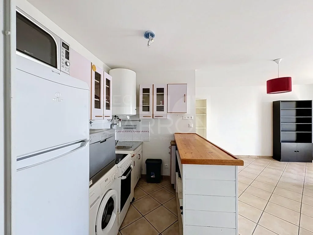 Flat Rue du Professeur Rochaix in Lyon