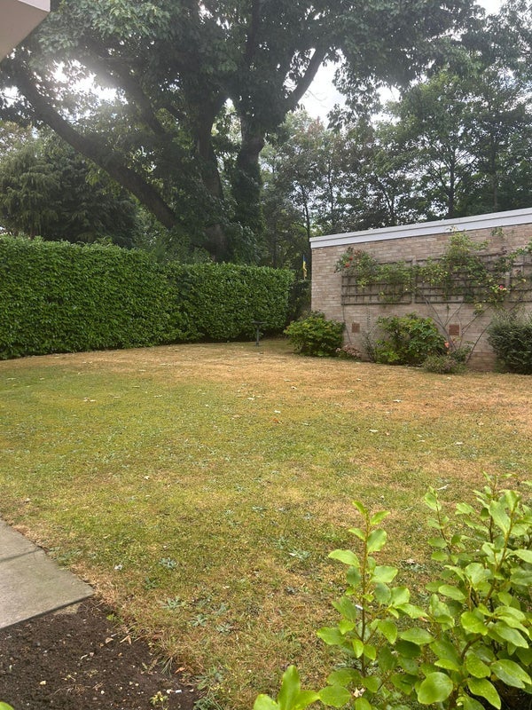 Room Albemarle Road in Greater London