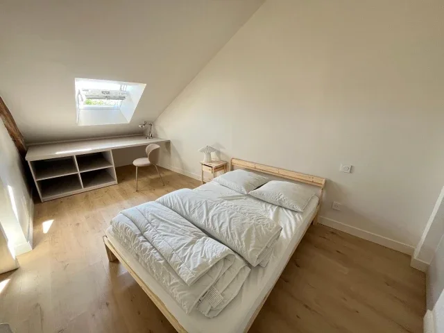 Room Rue Rabelais in Angers