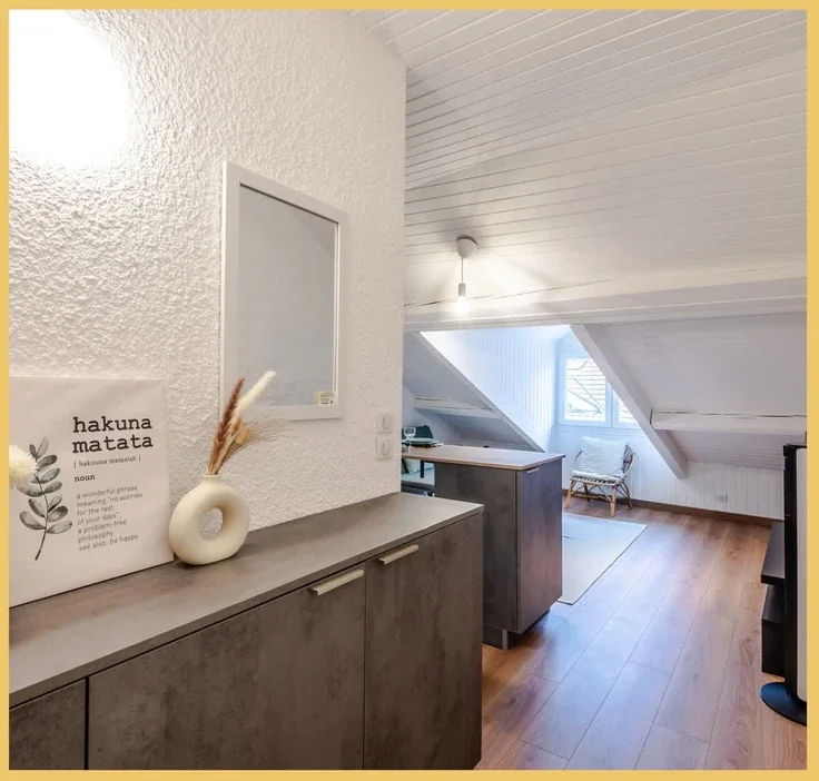 Appartement Grande Rue à Thonon-les-Bains