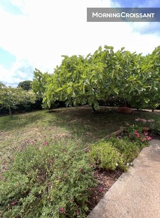 Flat Chemin du Pansard in La Londe-les-Maures