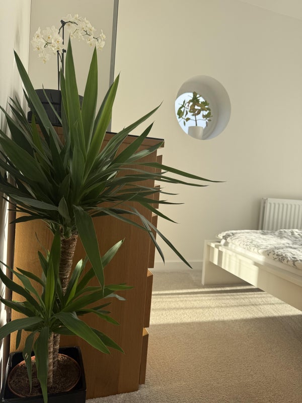 Room Hardy Avenue in Greater London