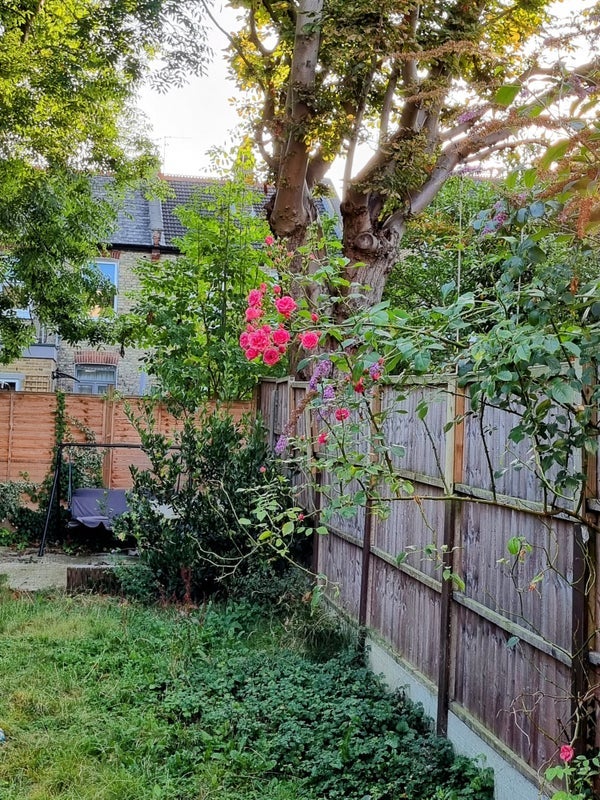 Room Ramsden Road in Greater London