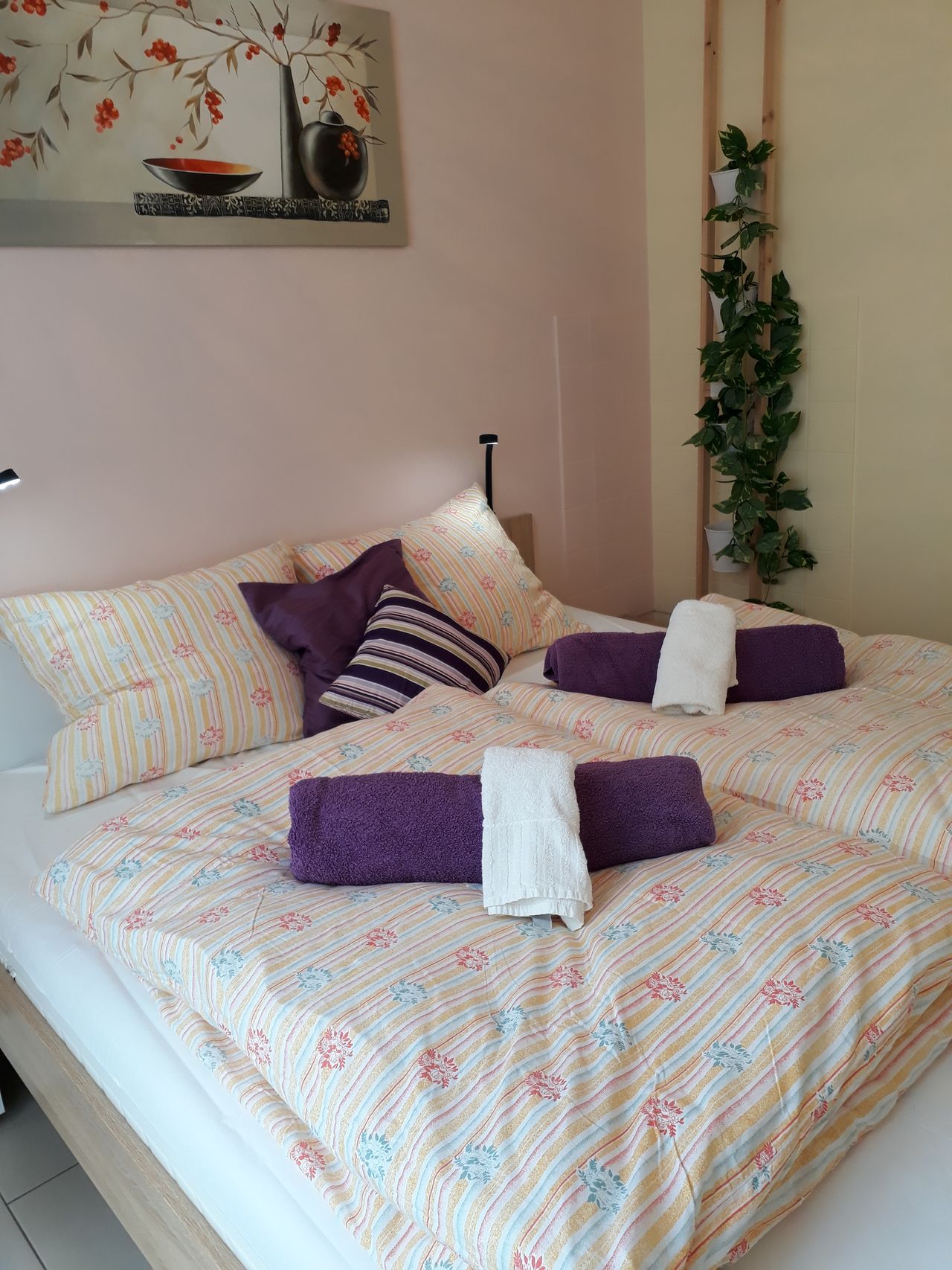 Wohnung Drachengasse in Erfurt