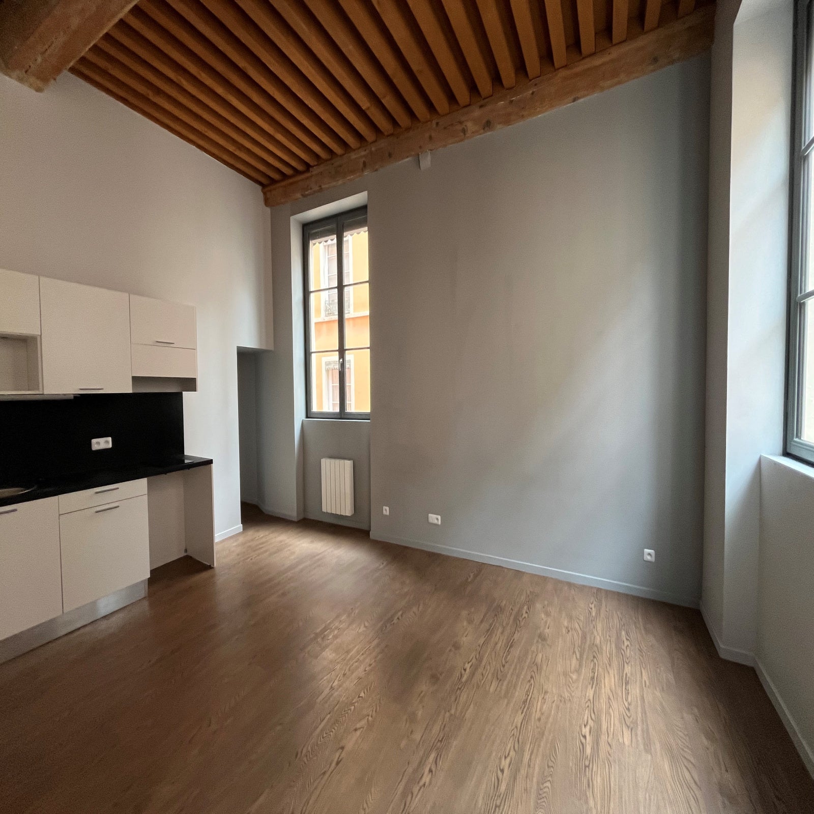 Flat Rue Marius Gonin in Lyon