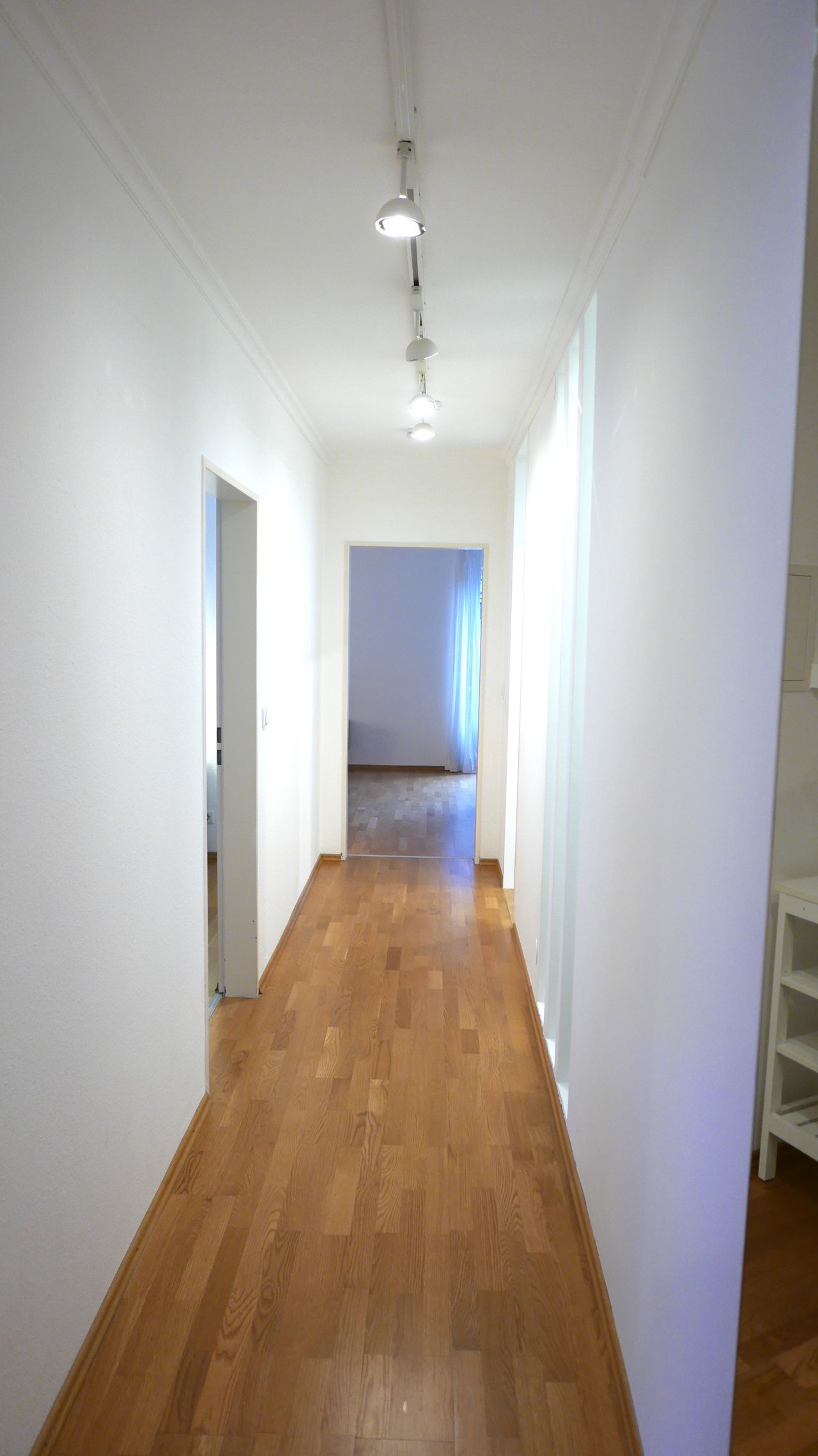 Wohnung Reitmorstraße in München