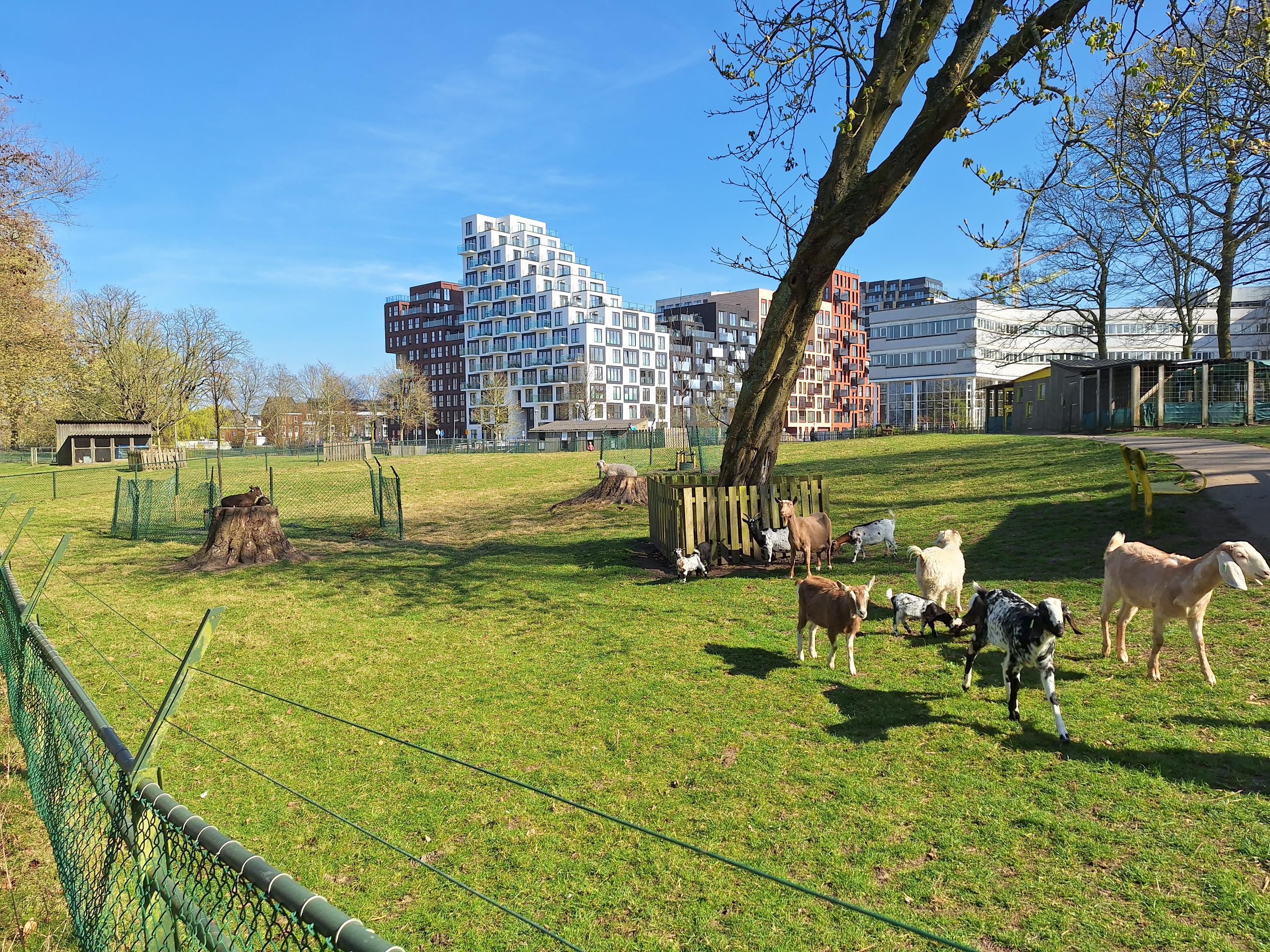 Appartement te huur: Eiffelstraat 219, Hoofddorp