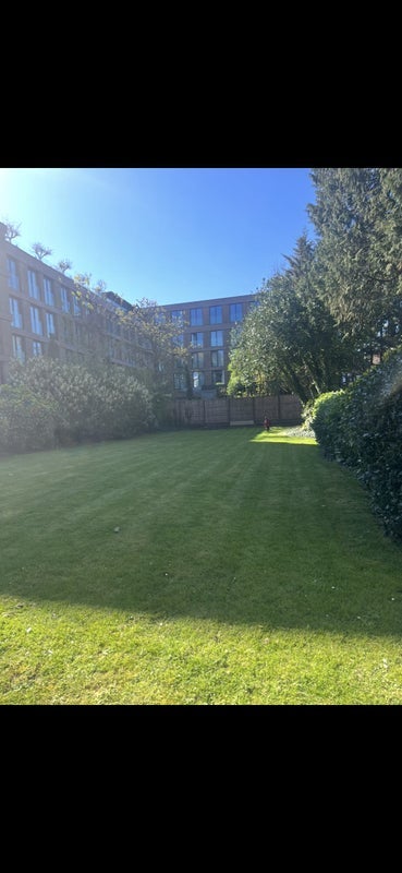 Room Willesden Lane in Greater London