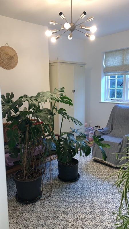 Room Kingston Vale in Greater London