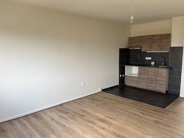 Appartement Rue du Général Pélissé à Wintzenheim