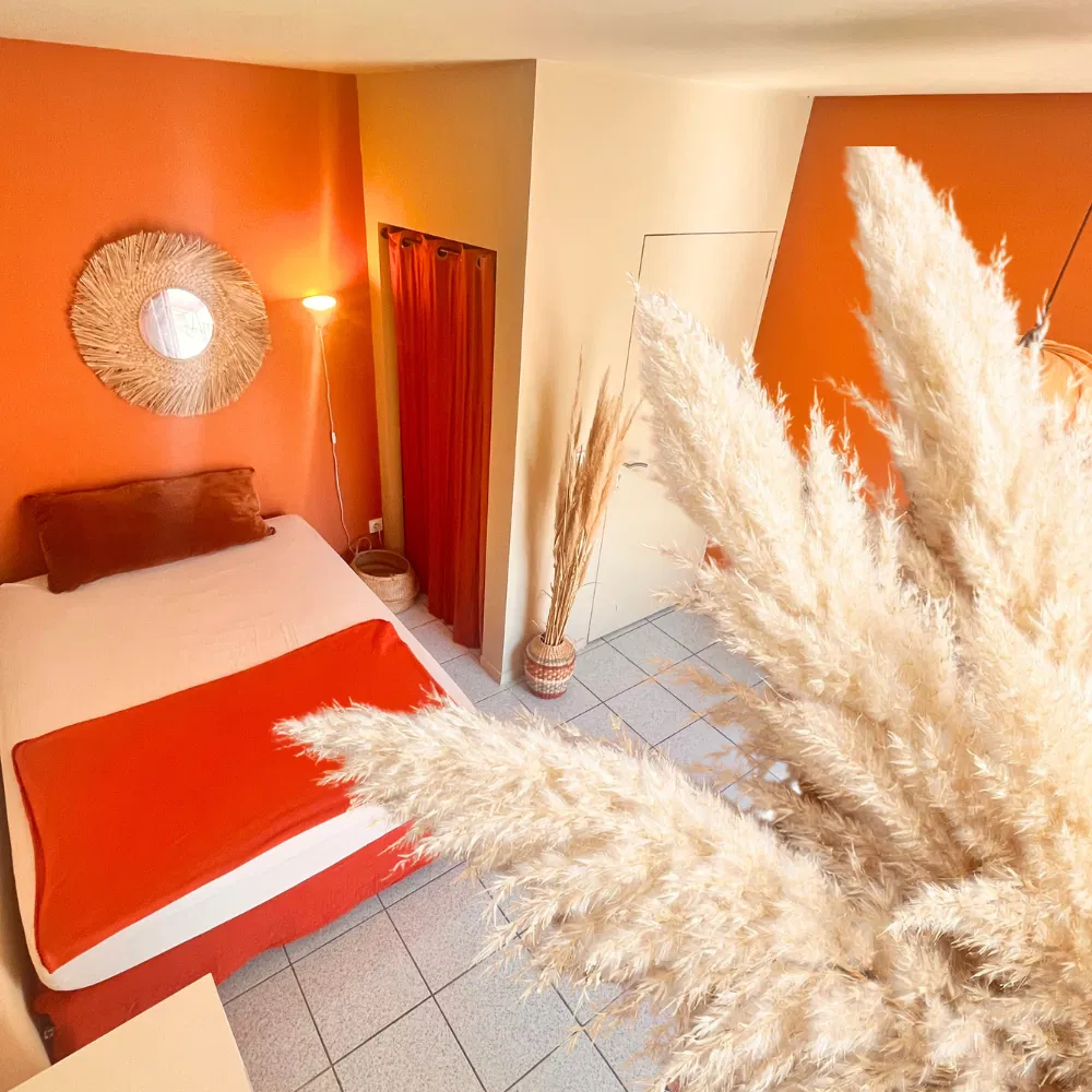 Chambre Rue Jean-Pierre Blanchard à Perpignan