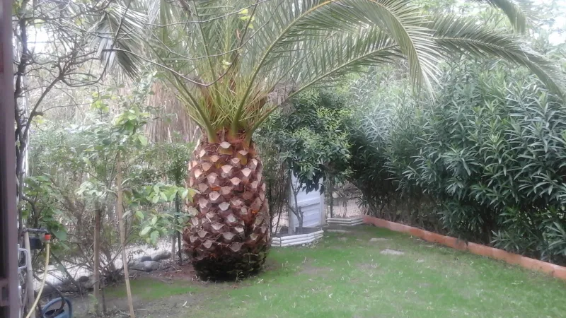 Appartement Quai Adolphe Landry à Calvi