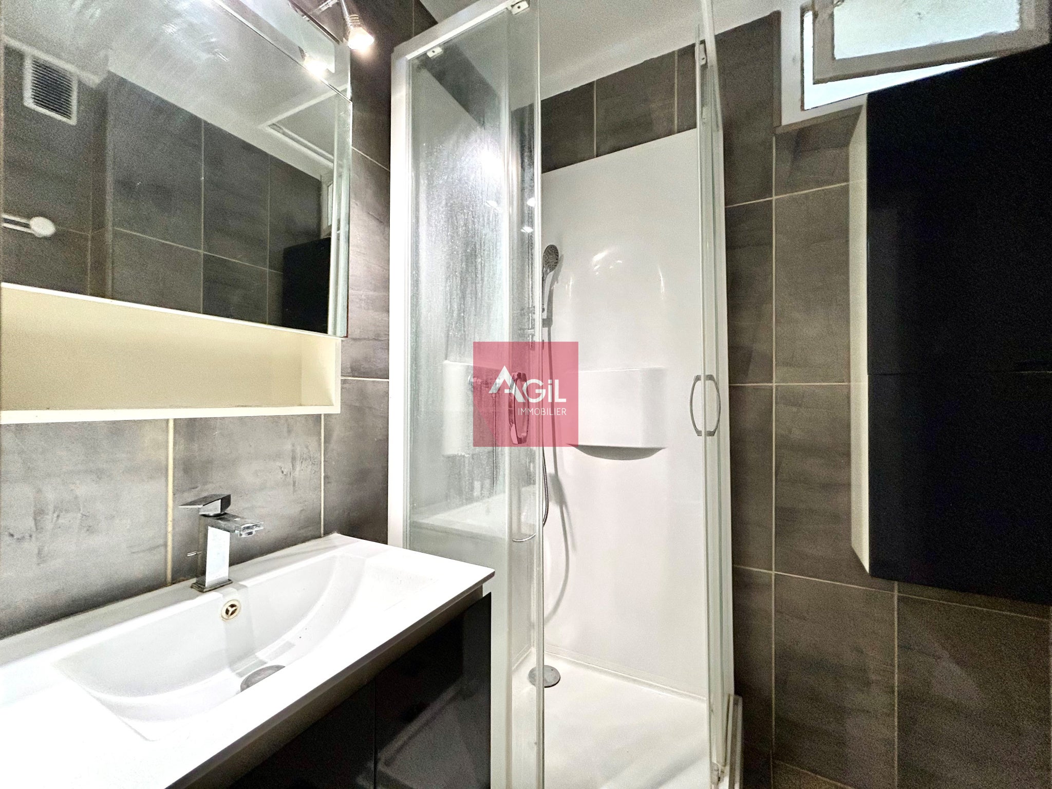 Flat Chemin Villebois in Grenoble