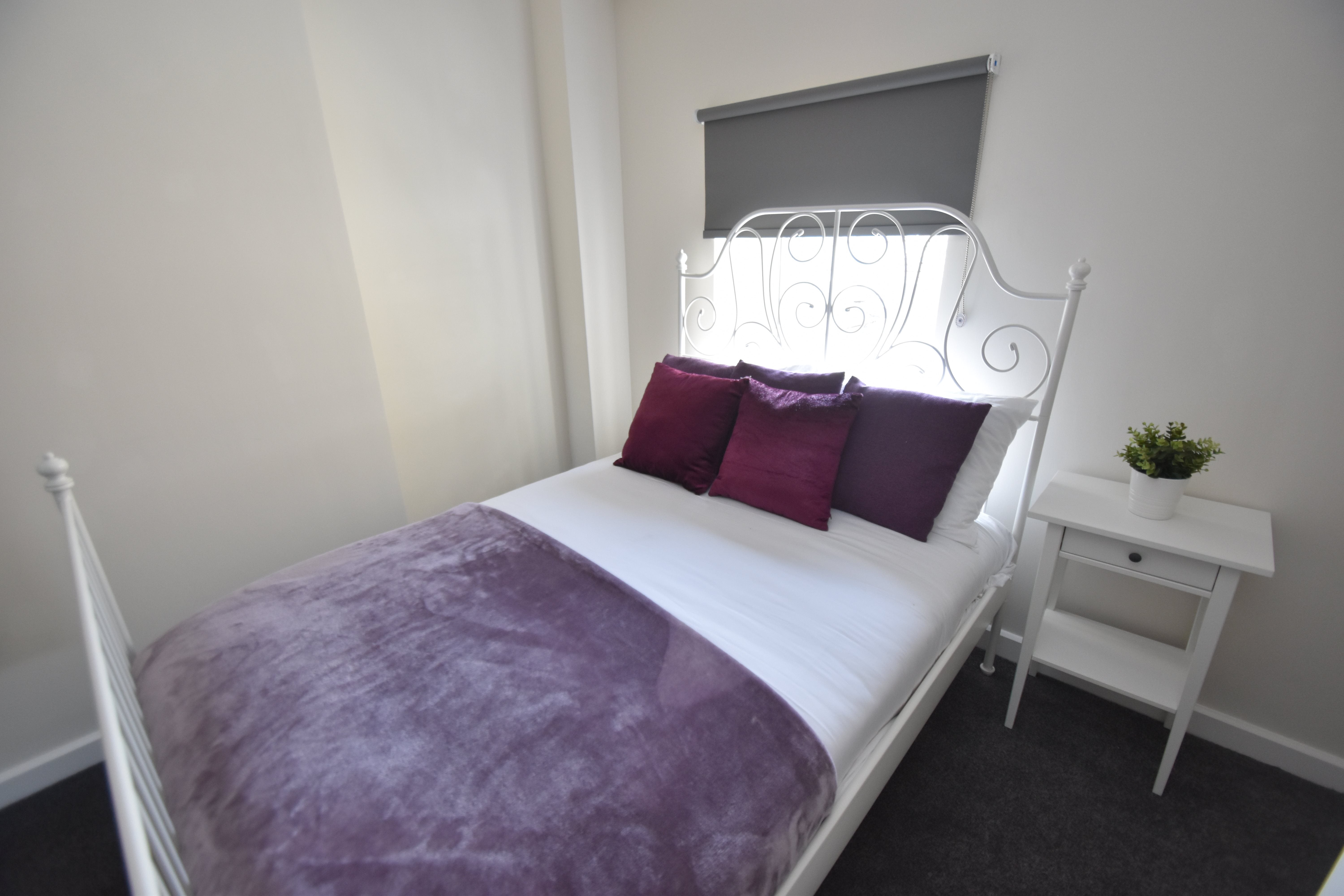 Flat Cathays Terrace in Cardiff