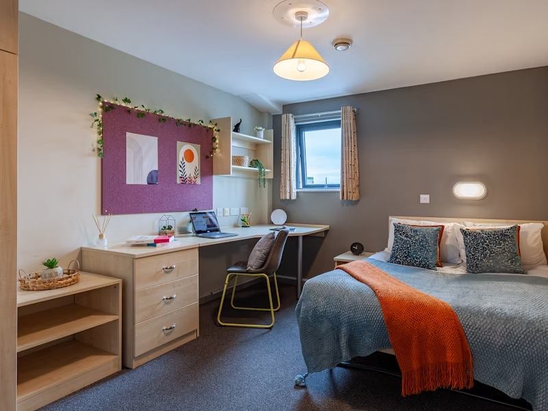 Room Newark Street in Reading