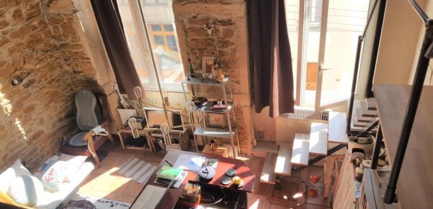 Flat Rue Mottet de Gérando in Lyon