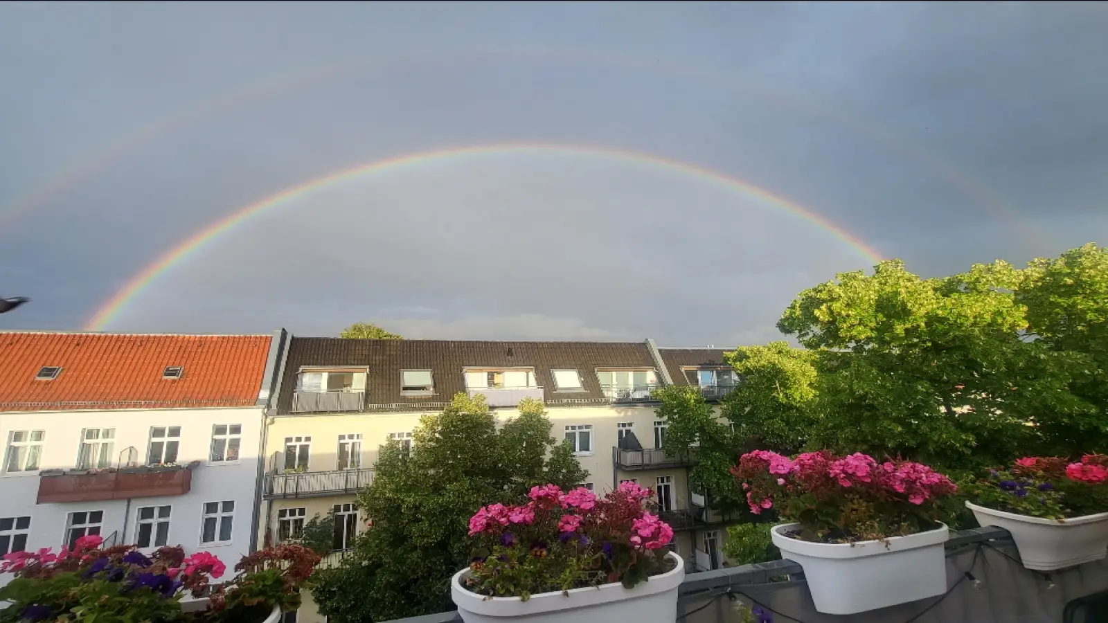 Wohnung Fanningerstraße in Berlin