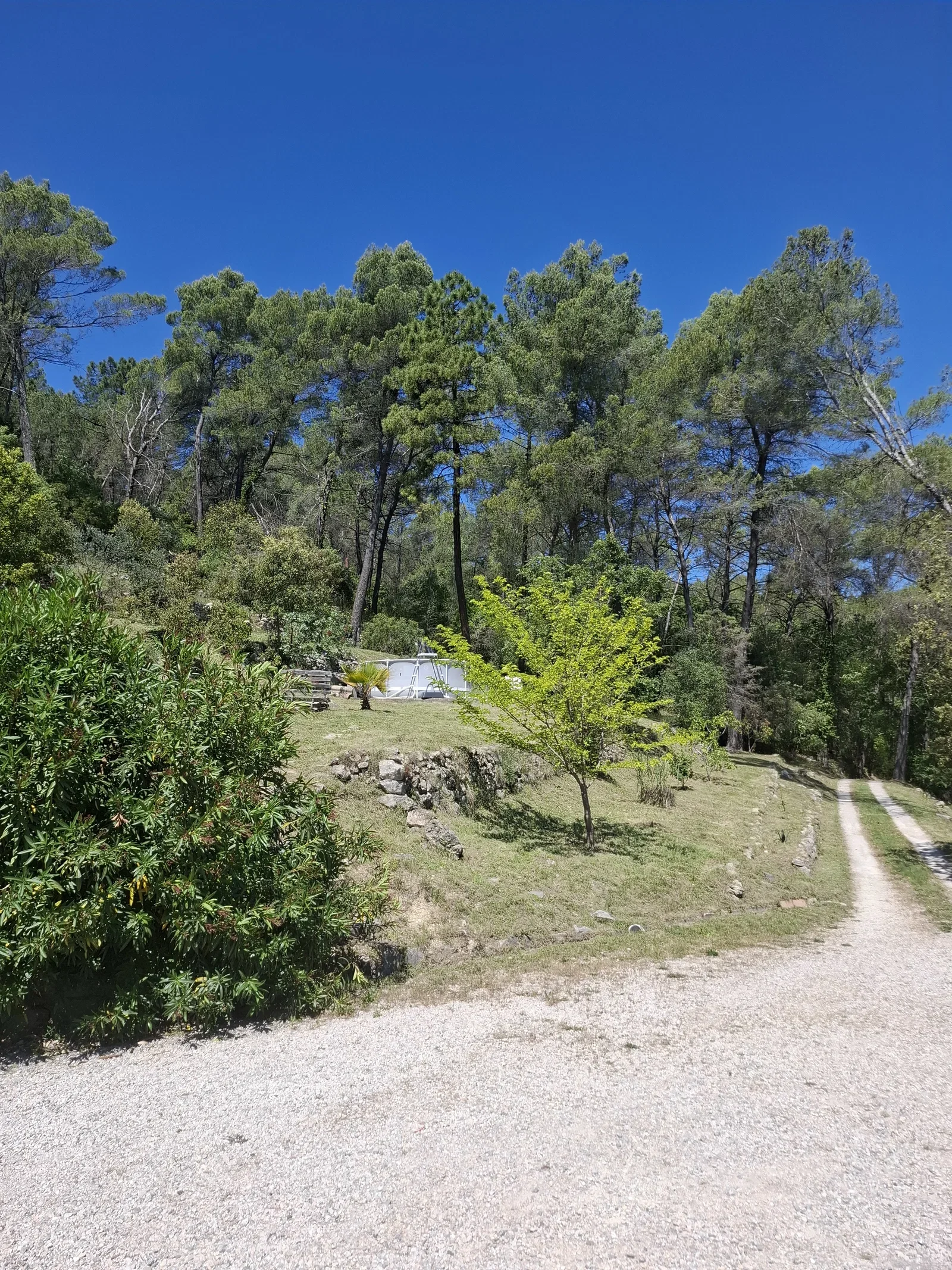 Room Chemin des Colles Basses in Callas