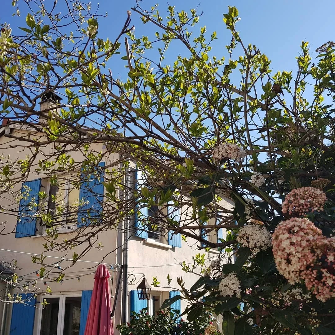 Room Rue Roger Bréchan in Lyon