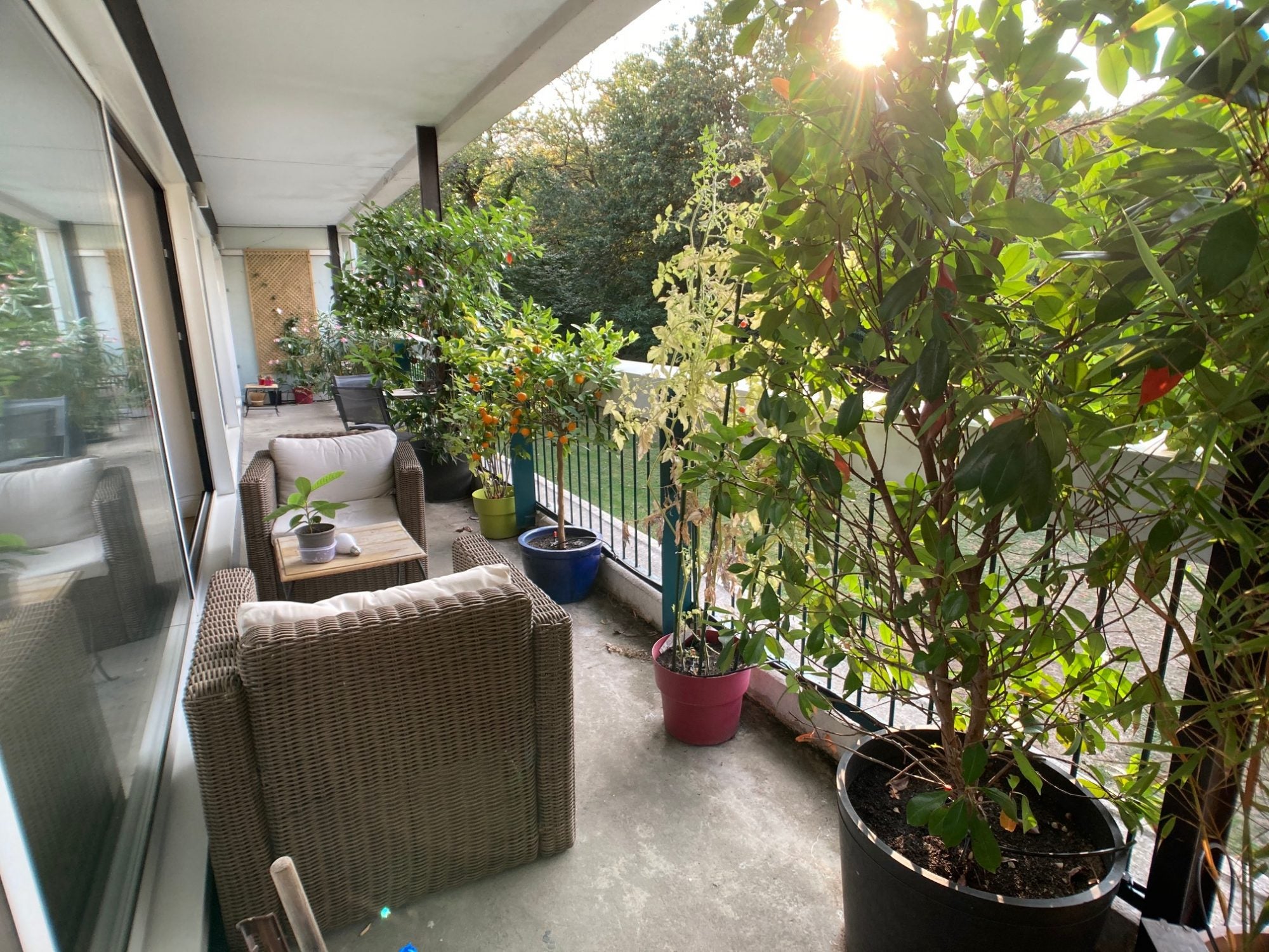 Flat Parc de Rocquencourt in Le Chesnay-Rocquencourt