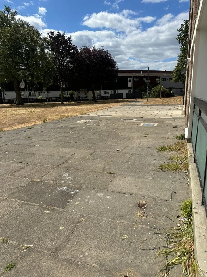 Flat Yellowpine Way in Greater London