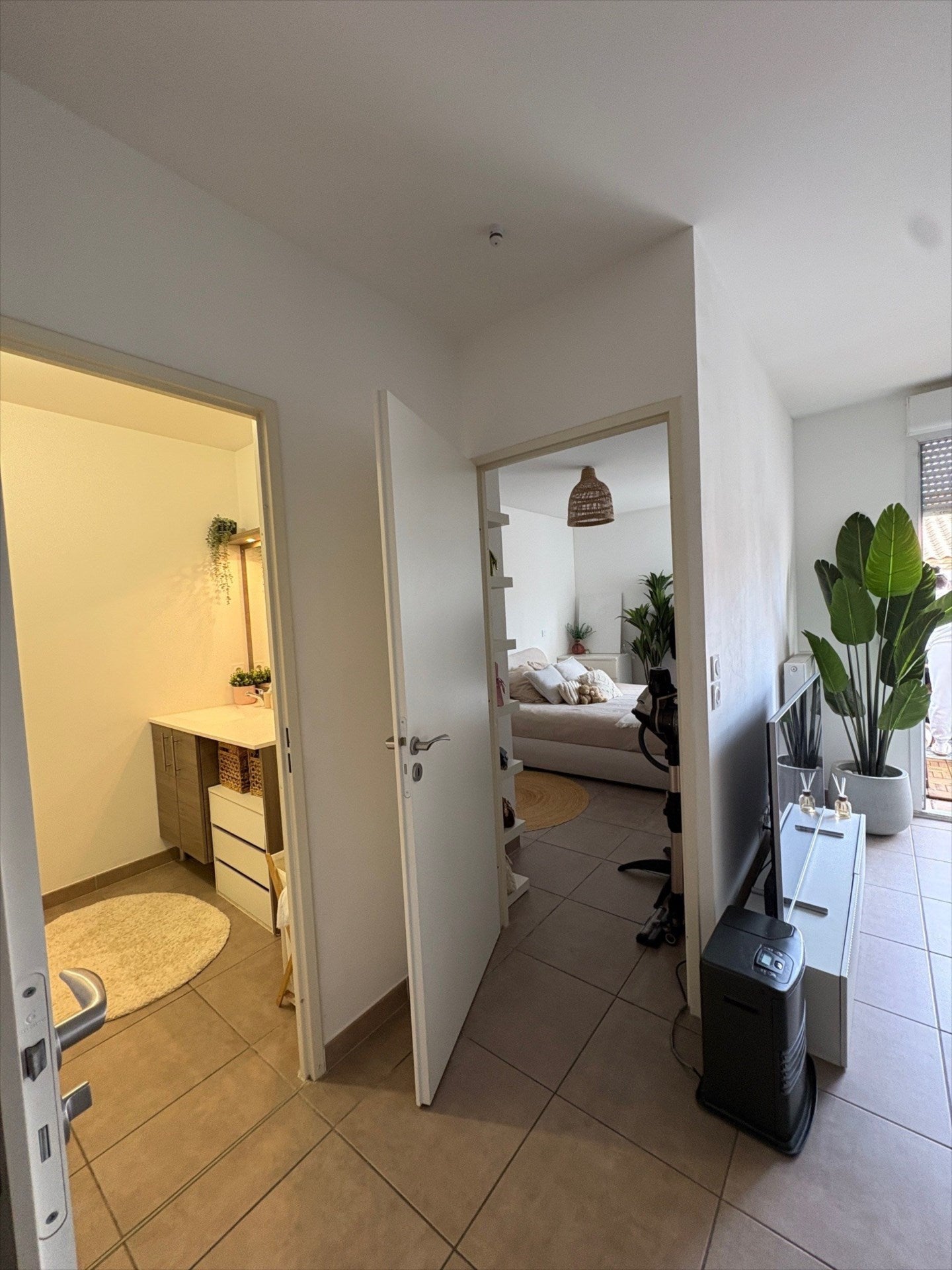 Flat Rue des Grèzes in Montpellier