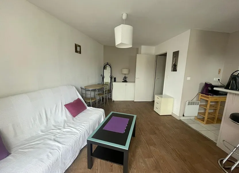 Appartement Rue Jolivet à Tours