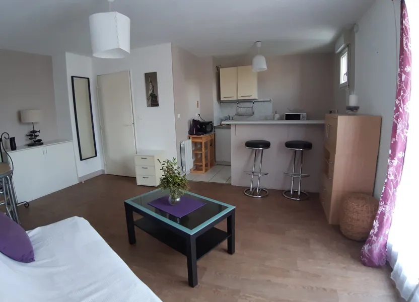 Appartement Rue Jolivet à Tours