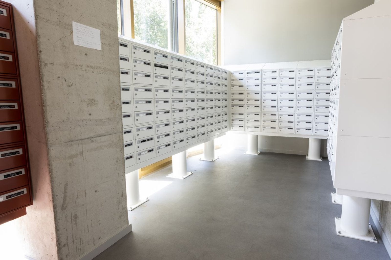 Pierre Van Hauwelaan