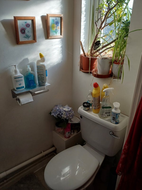 Room Harrier Way in Greater London