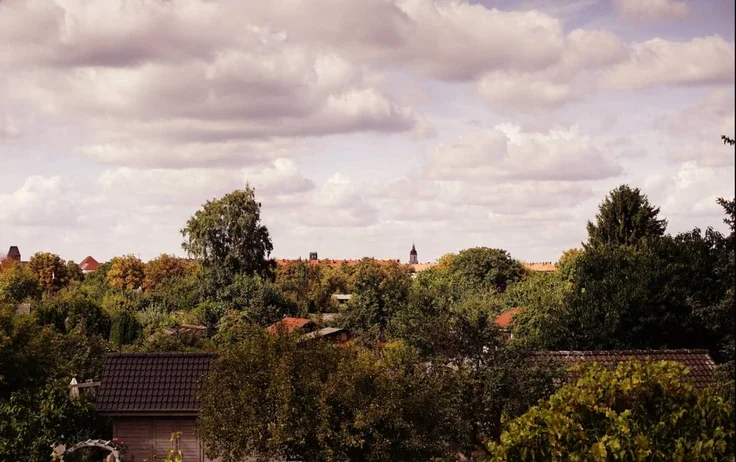 Wohnung Rheinstraße in Berlin