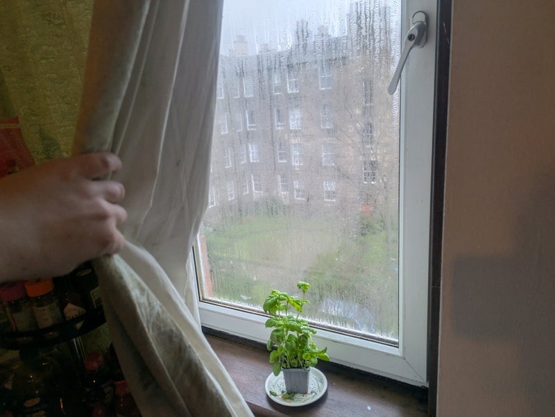 Room South Lorne Place in City of Edinburgh