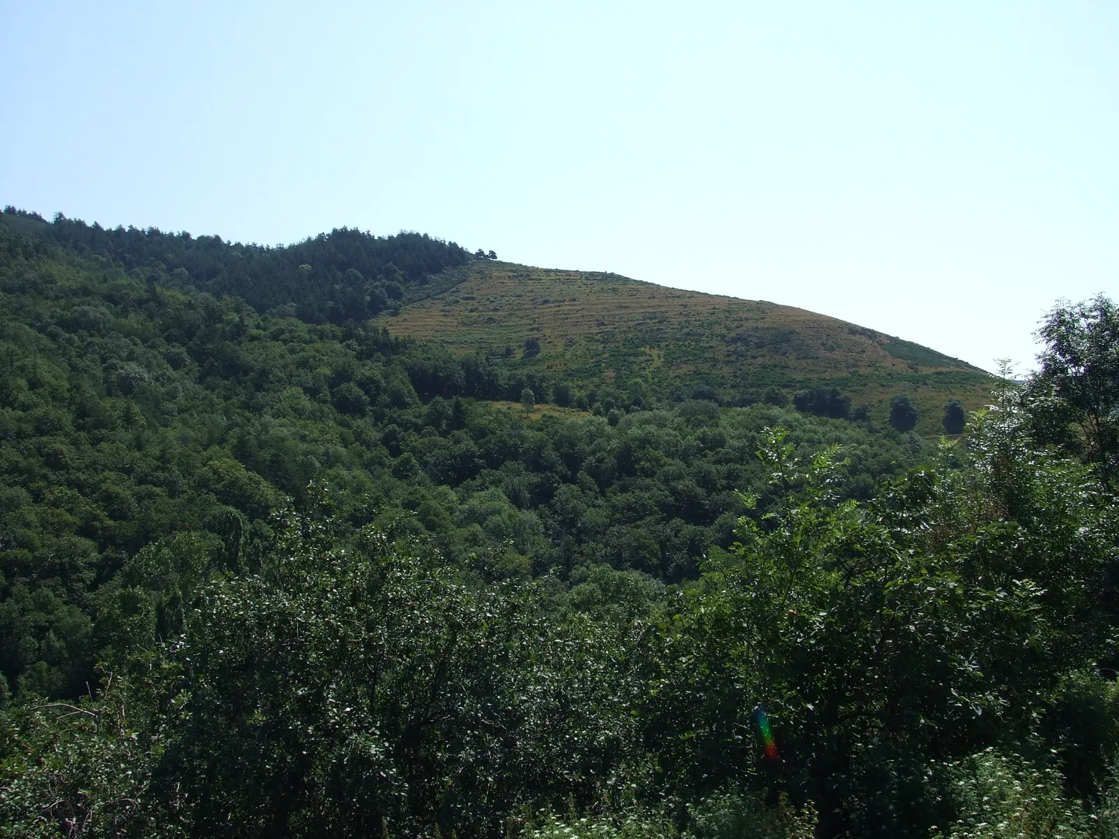 Flat Chemin de Curins in Saint-Genest-Lachamp