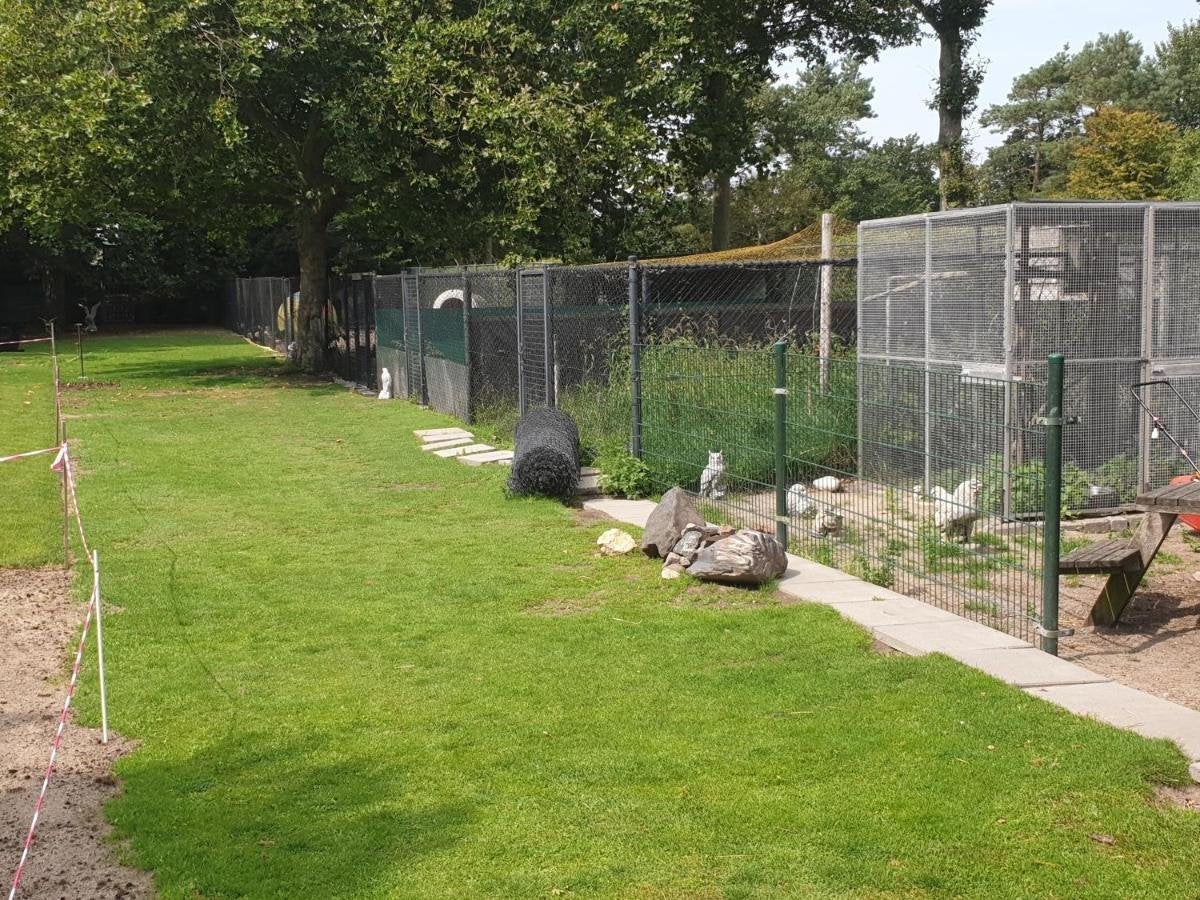 Twee-onder-één-kap te huur: Oostdijkseweg 53, Goedereede