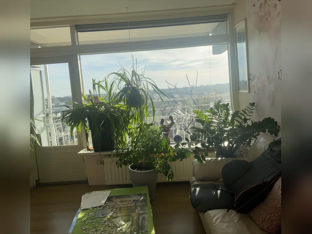Appartement Ferdinand Bolstraat in Meppel
