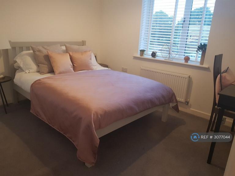 Room College Row in Ashford