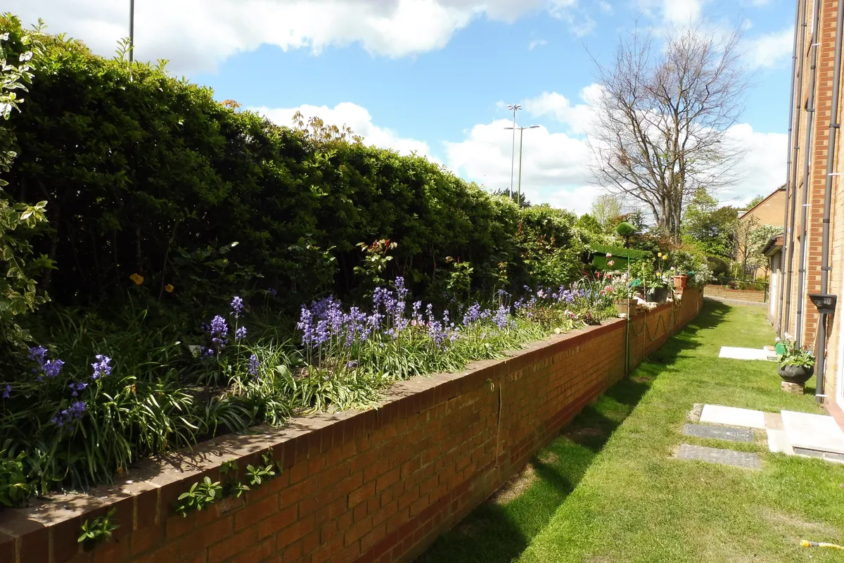 Flat Cassio Road in Watford