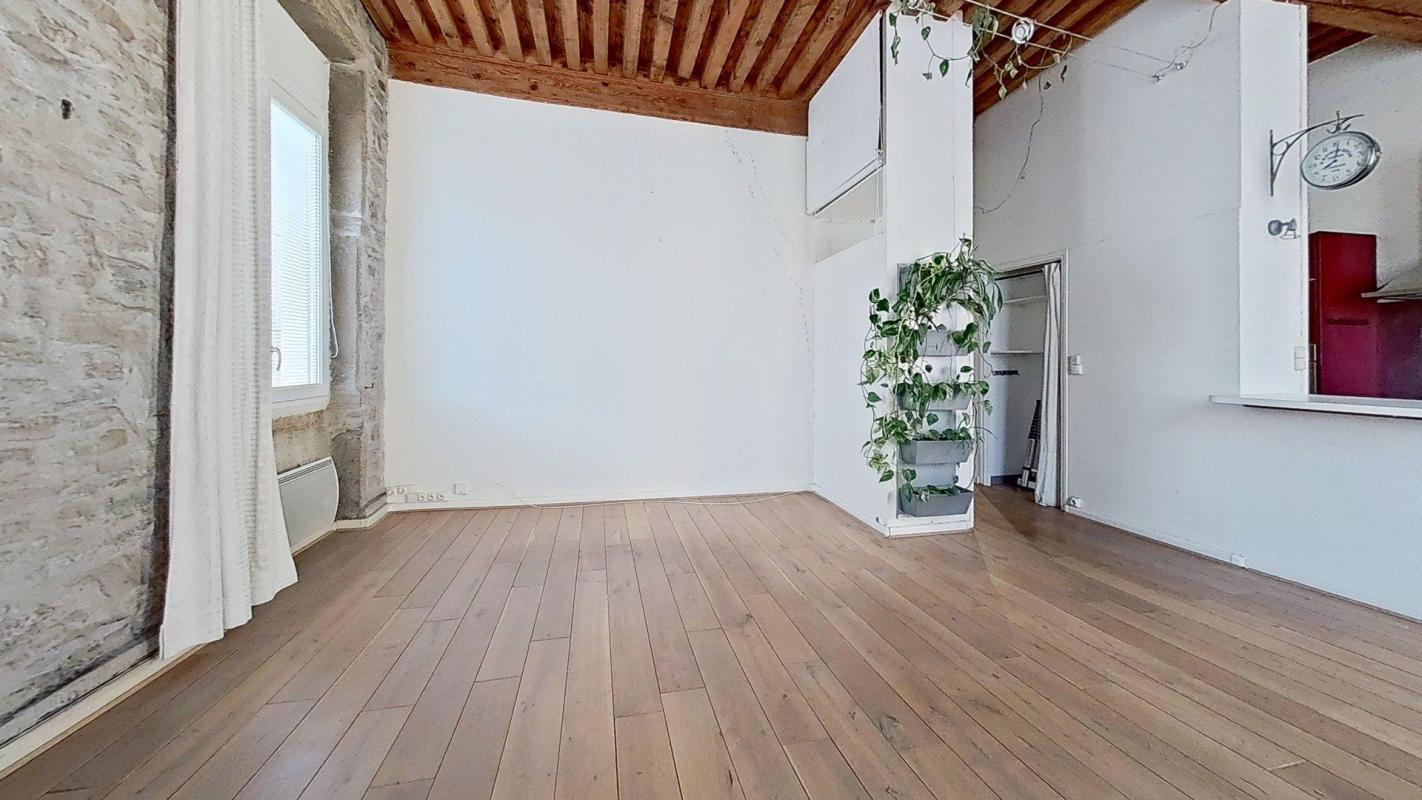 Flat Rue d'Aguesseau in Lyon