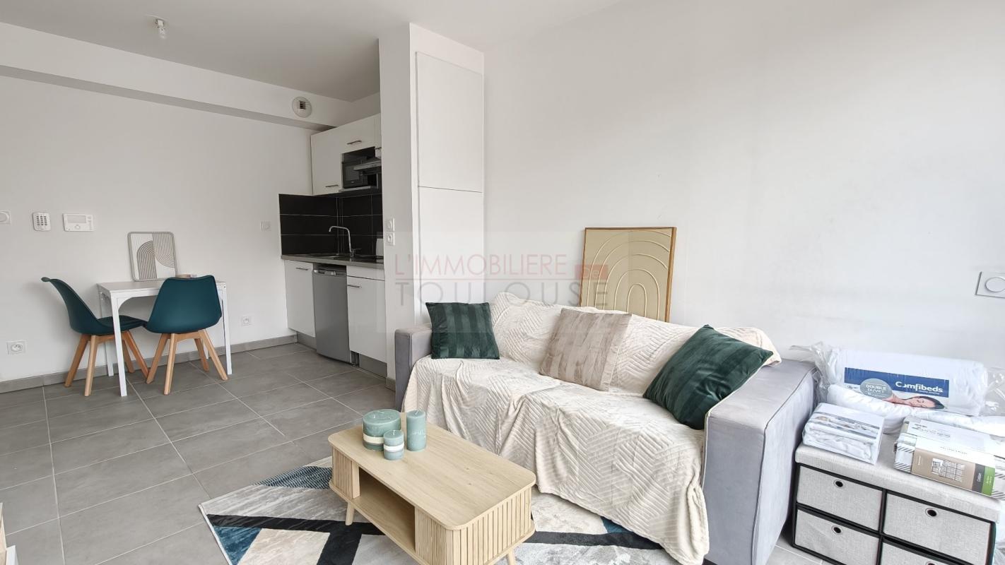 Appartement Chemin de Tournefeuille à Toulouse