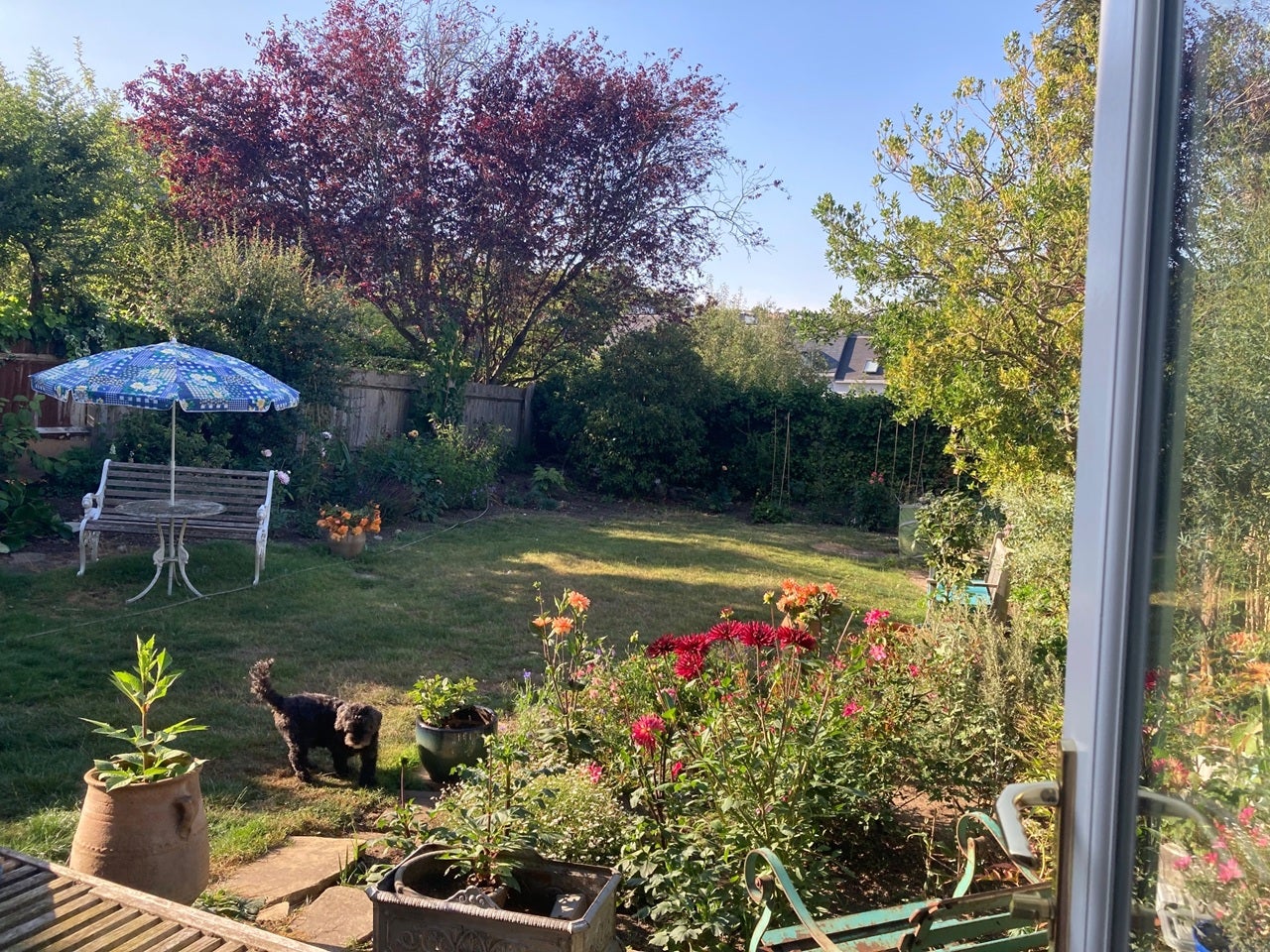 Room Connaught Gardens in Greater London